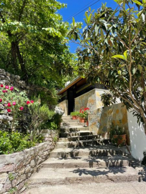 Latifi Guesthouse